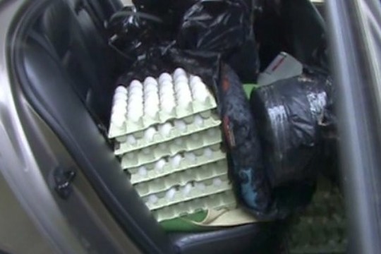 Vagys nesismulkino – vogė ir kiaušinius, ir tualetinį popierių