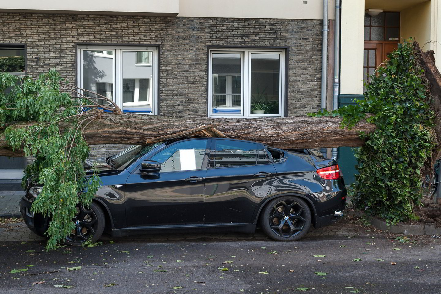 Pirmadienį per vėtrą ypač nukentėjo Vakarų Vokietijos miestas Diuseldorfas.