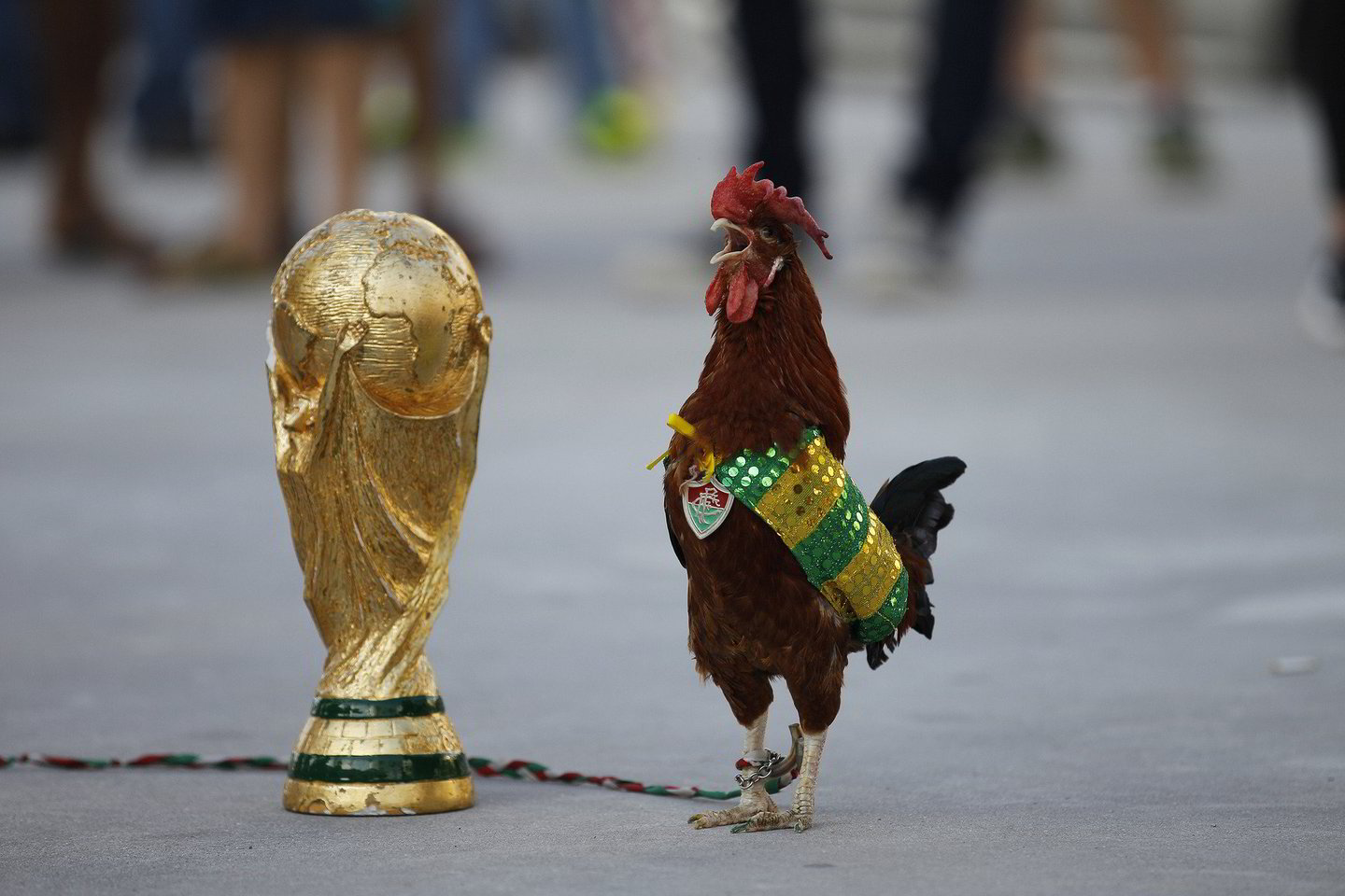 Pasaulio futbolo čempionatas startuoja ketvirtadienį.