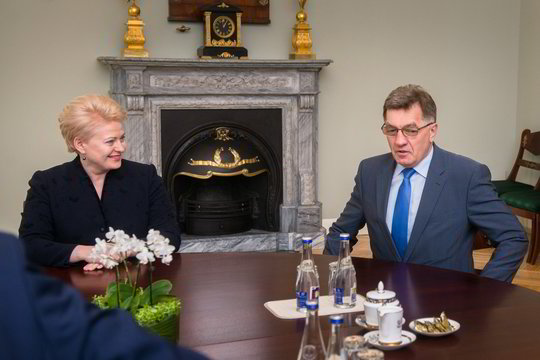 Kairieji nutarė pasigalynėti su prezidente. Kuo tai baigsis?