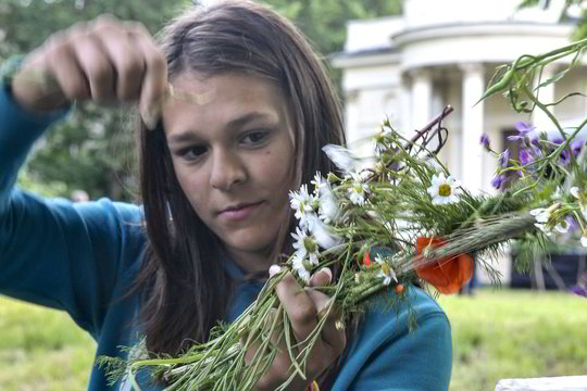 Ką iš tikrųjų reiškia paparčio žiedas ir kaip jį rasti