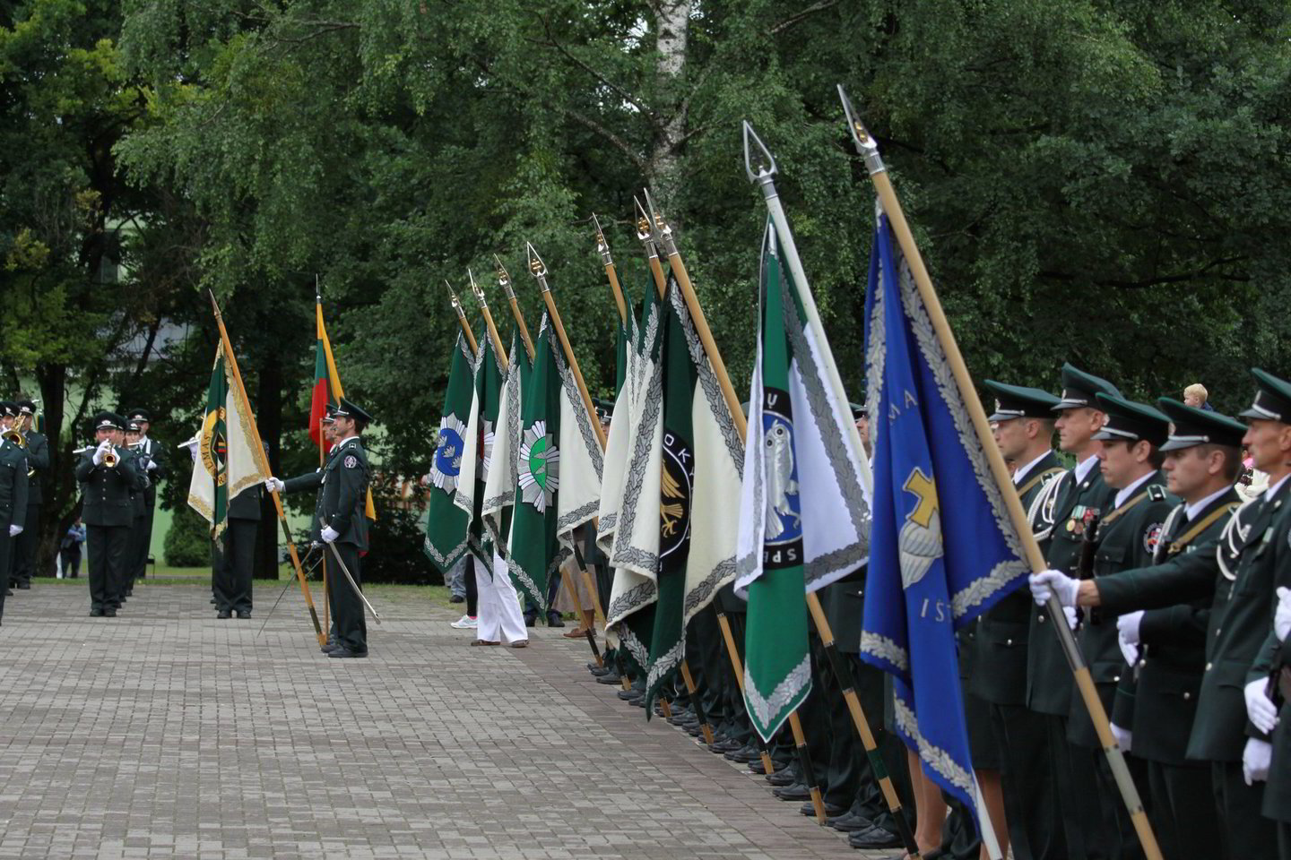 Pasieniečių diena.