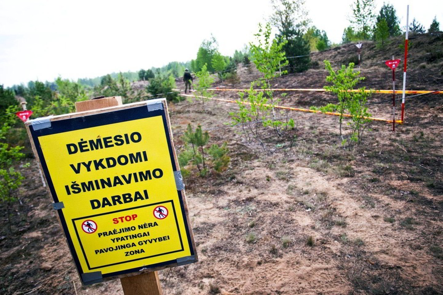 Lietuvos kariuomenės išminuotojai per 11 metų sunaikino beveik 50 tūkst. sprogmenų.