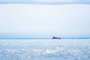 Koks dar klimato atšilimas? Antarktida rekordiškai stingsta