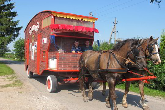 Vežimu keliaujantys Panevėžio lėlininkai džiugina kraštiečius