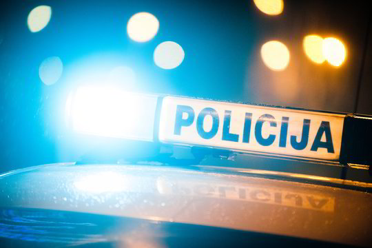 Papjauta telyčia vagys pasidžiaugti nespėjo