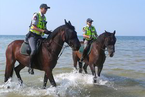 Policijos žirgai į jūrą išdrįso bristi ne iš karto