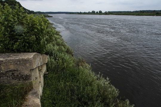 Žvejys upėje pamatė kraupų vaizdą