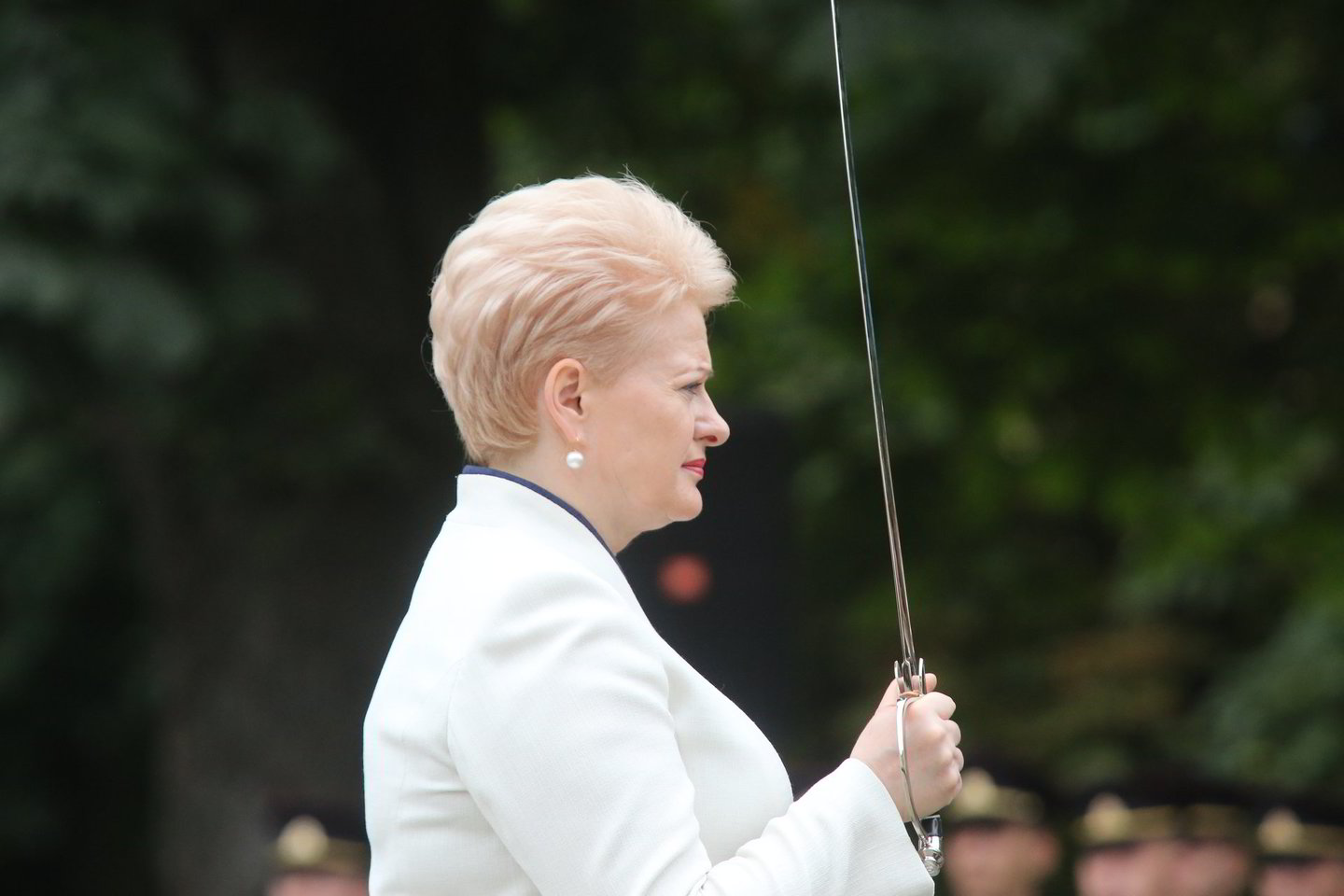 R.Danisevičiaus nuotr.