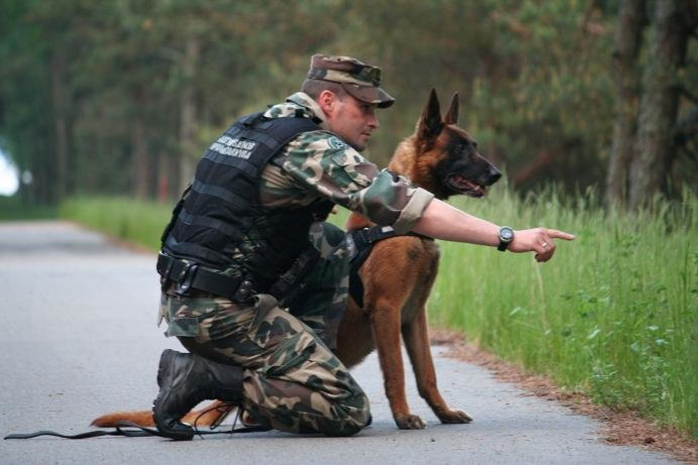 Druskininkų pasieniečiai sulaikė jų akivaizdoje sieną perbėgusį armėną.