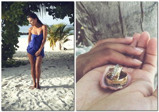 Julijos ir Lauryno Žižių medaus kopinėjimo akimirkos