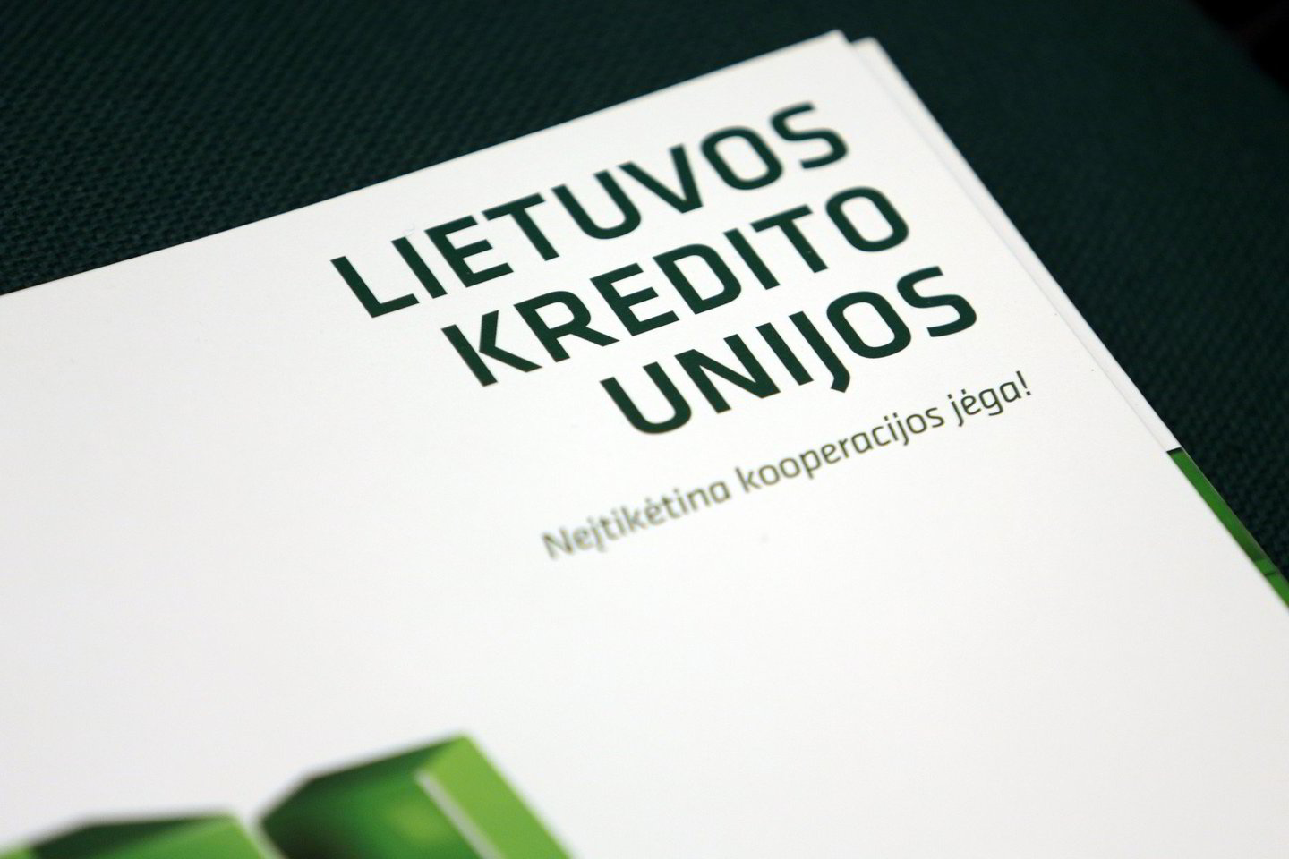 Kredito unijos ėmė atsargiau vertinti rizikas.