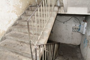 Vyras su baime stebi kaimynystėje augančią šiukšlininkų giminę