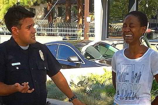 „Ištrūkusio Džango“ aktorė D. Watts buvo sulaikyta policijos