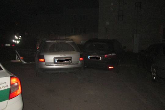 Kvailas automobilio vagis Vievyje pametė striukę su dokumentais