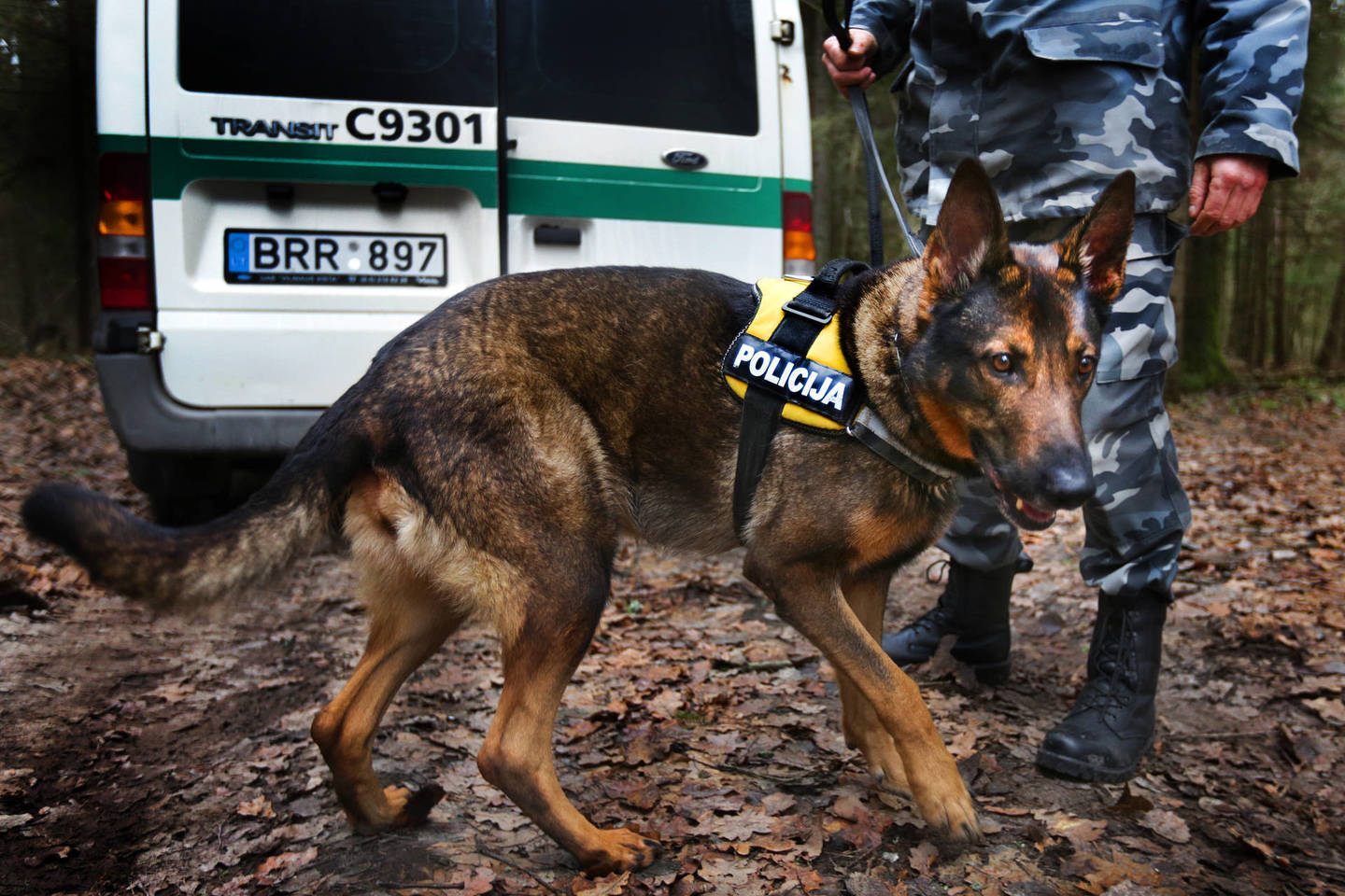 Mergaičių ieškojo policijos pareigūnai su šunimis.<br>V.Balkūno asociatyvioji nuotr.