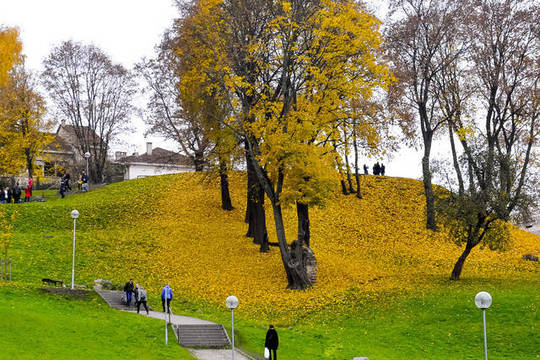 Šilti orai ilgai neužsibus