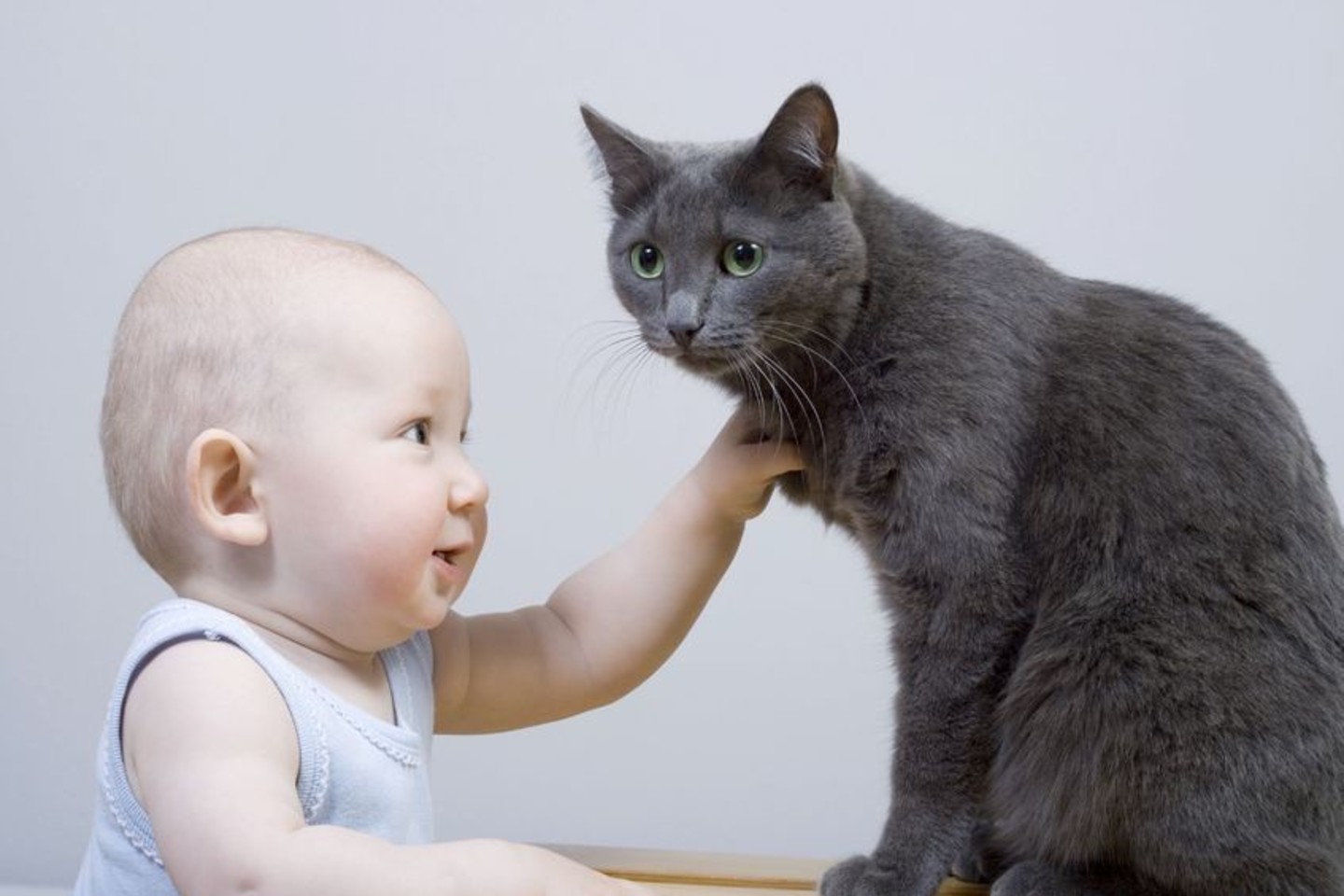 Katė reaguoja ne tik į kačiukų, bet ir į žmonių kūdikių pagalbos šauksmą.<br>123rf nuotr.