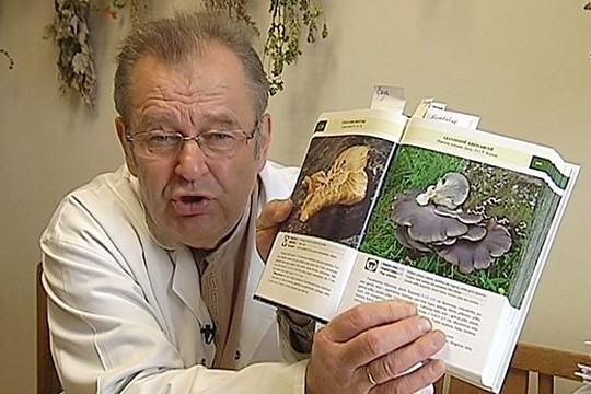 Kurie grybai vertingi sveikatai? (II)