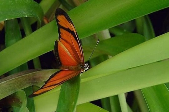 Norite vėl pasijusti lyg vasarą? Yra išeitis