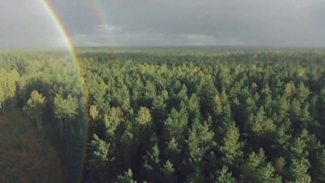 Pažintinis filmas apie Tauragės miškų urėdiją (II)
