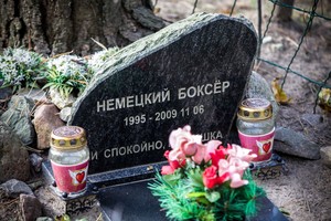 Keistose vietose įrengtose gyvūnų kapinėse - žmonių išradingumas