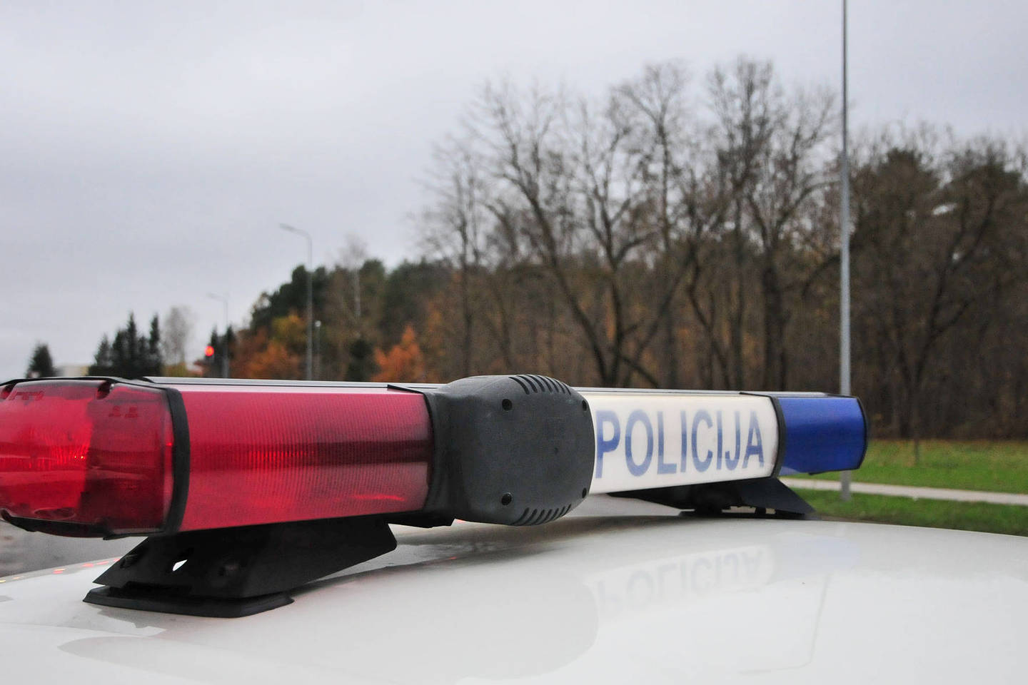 Atbulomis važiavęs automobilis Panevėžyje partrenkė senolę.