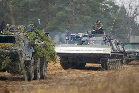 Vokiečių kariuomenės kovos mašinoms – plėšrių gyvūnų pavadinimai