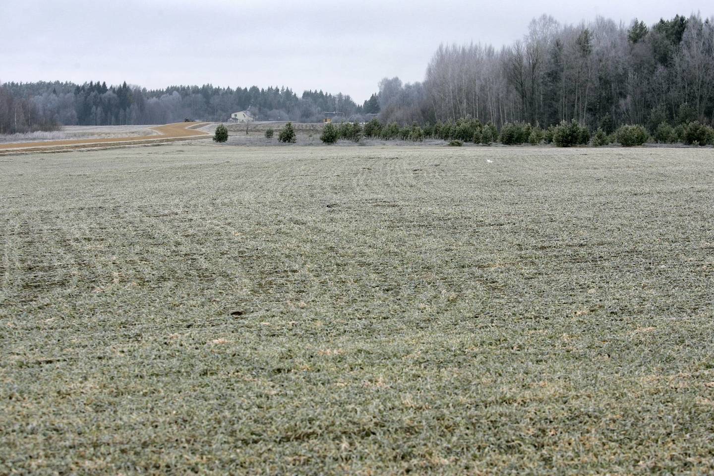Ūkininkai, kasmet deklaruojantys plotus, tačiau šiemet dėl itin svarbių priežasčių paraiškų dar nepateikę, jas gali pateikti iki taisyklėse numatyto termino – gruodžio 1 d.