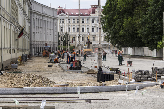 Vienose rankose – ir sostinės gatvių, ir gyvūnų priežiūra