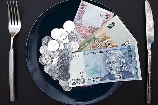 Šeimos pajamų kuriozai: baudos už augintinio maistą ar taksi