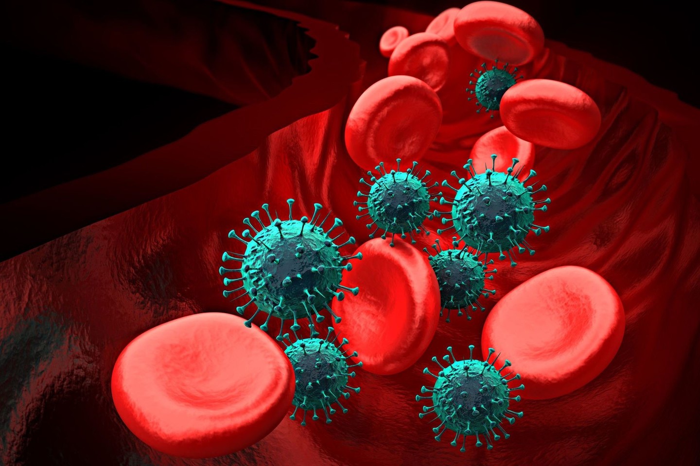 Raudonuosius kraujo kūnelius puola gripo virusas.<br>123rf nuotr.