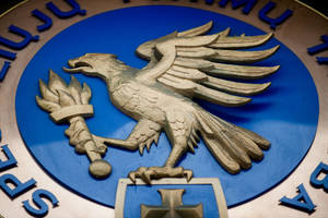 Šiaulių darbo rinkos ir mokymo centro direktorius atgavo laisvę