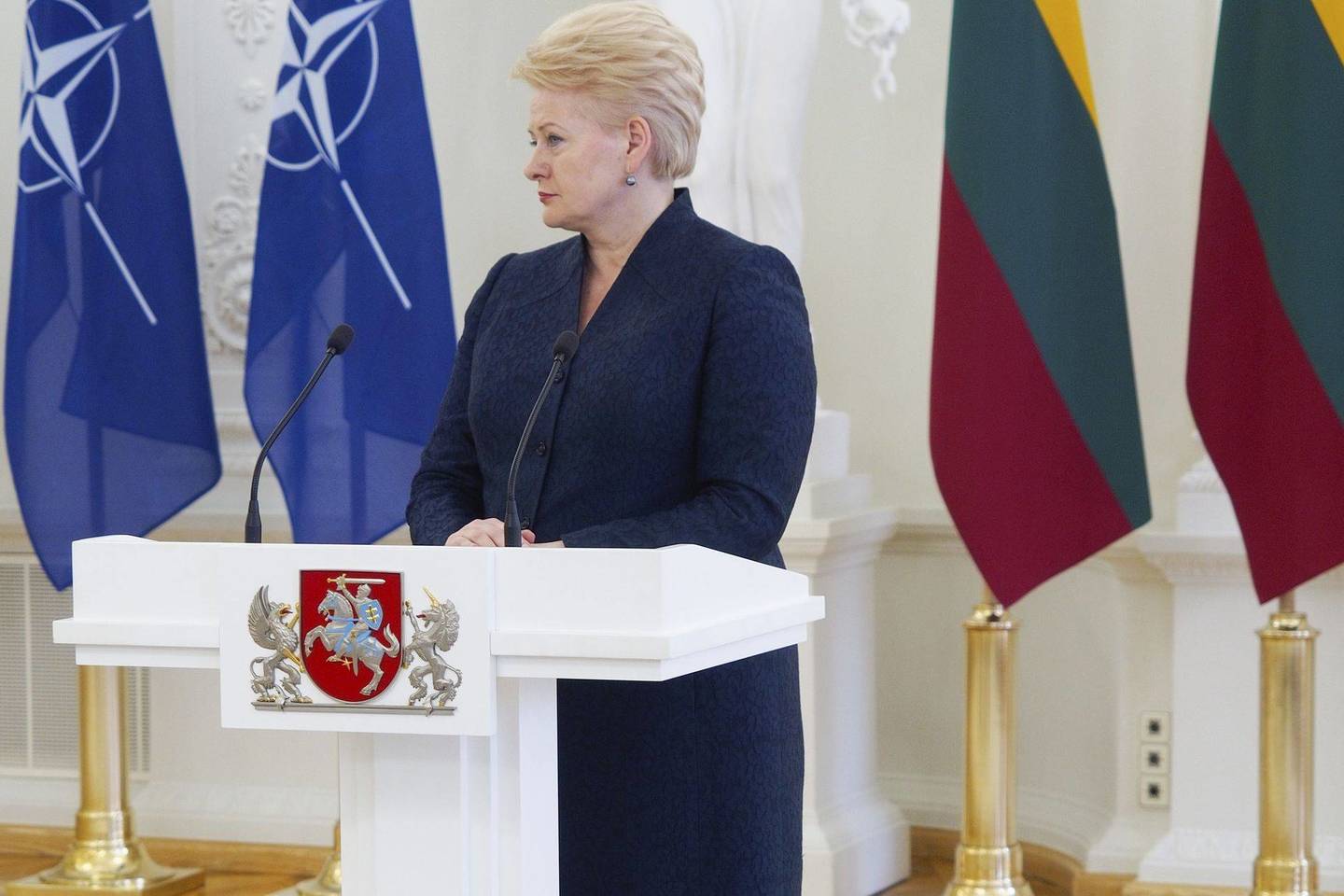 D.Grybauskaitė Seimui yra pateikusi Pilietybės įstatymo pataisas.