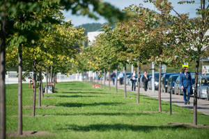 „Liepaičių“ 50-mečiui - ne tik 50 liepų, bet ir atminimo lentelė