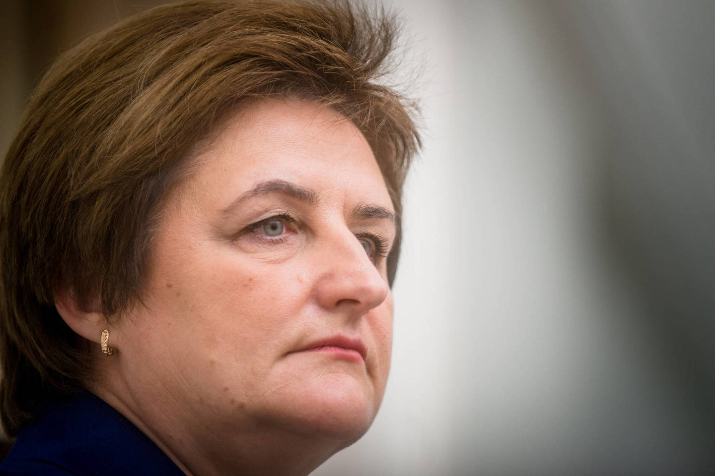 Loreta Graužinienė teigia esą sunerimusi dėl situacijos Rusijos pasienyje.