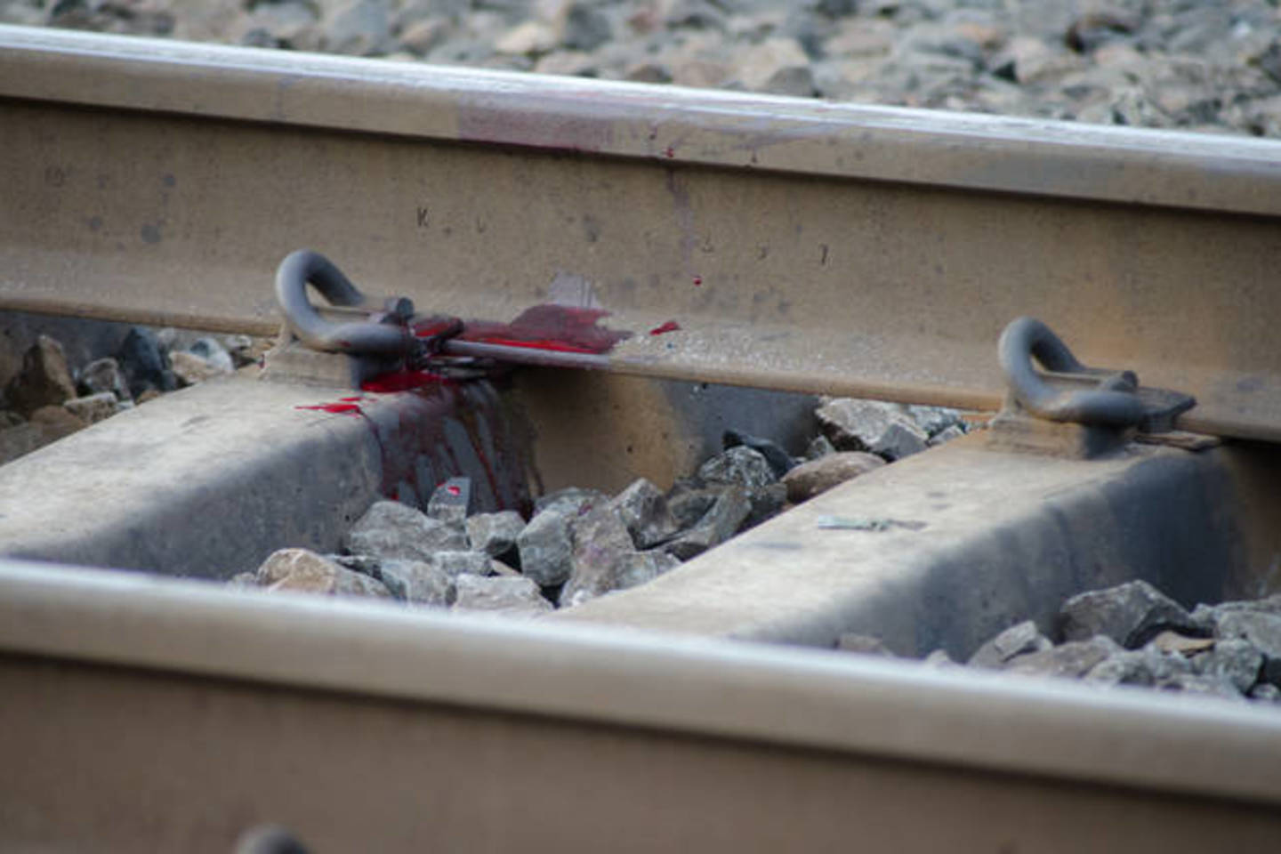 Vilkaviškio rajone traukinys partrenkė ir mirtinai traumavo ant bėgių buvusį vyrą.<br>D.Umbraso asociatyvi nuotr.