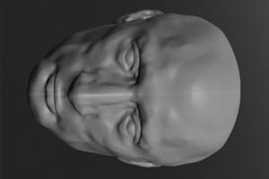 Detektyvo tąsa: aistros dėl V. Putino galvos toliau kunkuliuoja