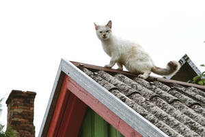 Mirties po balkonu grėsmė – vis arčiau