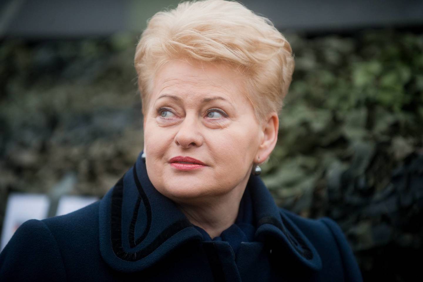 D.Grybauskaitė teigė, kad Ukraina šiuo metu kovoja už taiką ir šalių nepriklausomybę visoje Europoje.