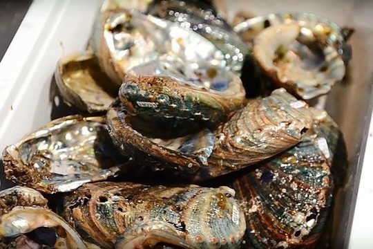 Ispaniški delikatesai iš Atlanto dugno