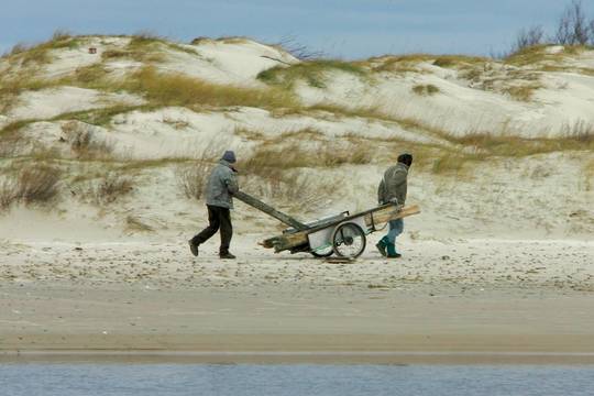 Perspėjimas gyventojams: šiąnakt siautės labai stiprus vėjas