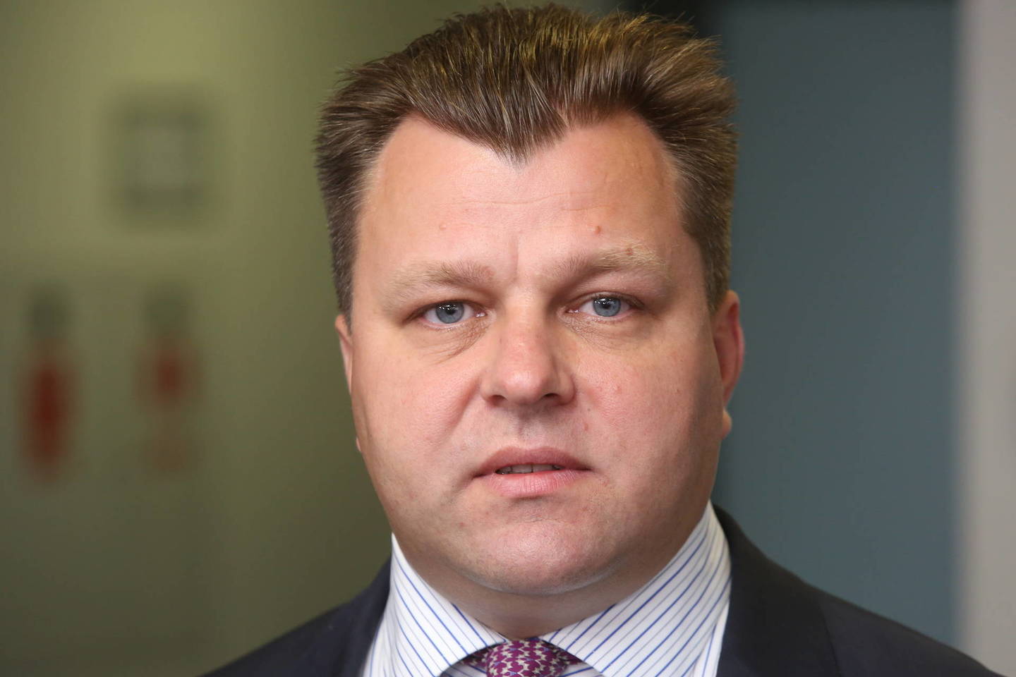 M.Adomėnas: „TS-LKD reikia apsivalymo ir atsinaujinimo.“