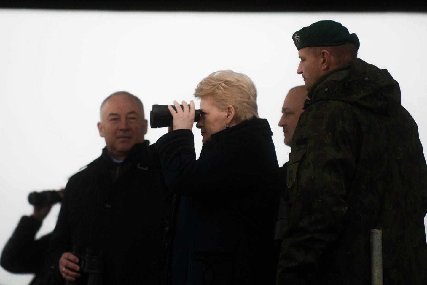 Dalios Grybauskaitės pataisos dėl kovos su priešiška propaganda Seime buvo sutiktos palankiai.