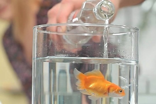 Kaip gaminamas sveikas vanduo? (II)