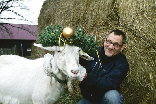 Naujieji metai atėjo. Kokius metus pranašauja ožkos?