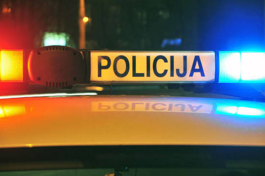 Vandalams užkliuvo Maironis