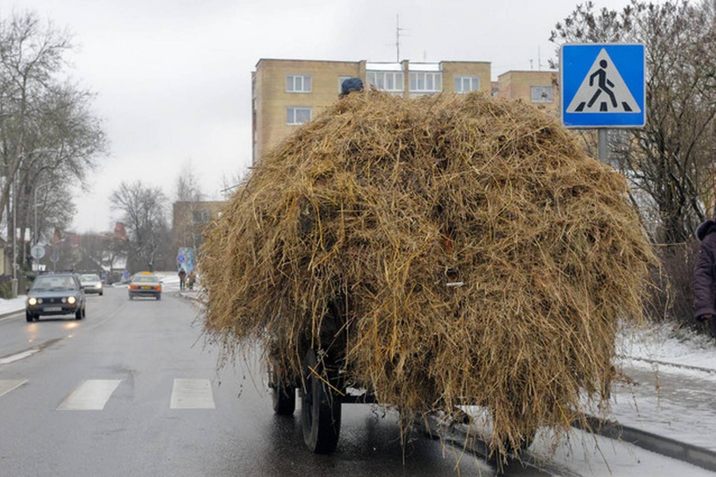Kai kas nuo politikų dovanų gavo šieno.