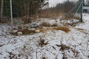 Įžūlūs vagys pasityčiojo iš benamio šuns