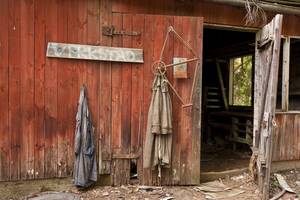 Pusbrolis prižadėjo darbą Norvegijoje, o teko gyventi miške